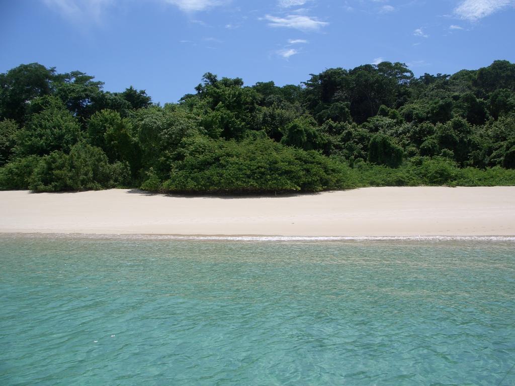 Beautiful Apartment With Terrace Contadora Island ห้อง รูปภาพ